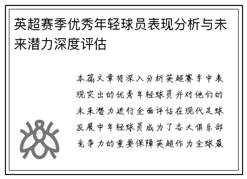 英超赛季优秀年轻球员表现分析与未来潜力深度评估