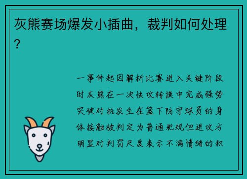 灰熊赛场爆发小插曲，裁判如何处理？